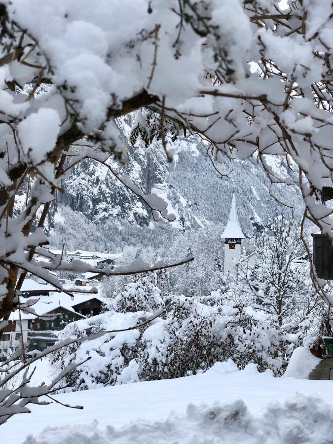 Appartamento Chalet Pironnet With Best Views, Charm And Comfort! Lauterbrunnen Esterno foto