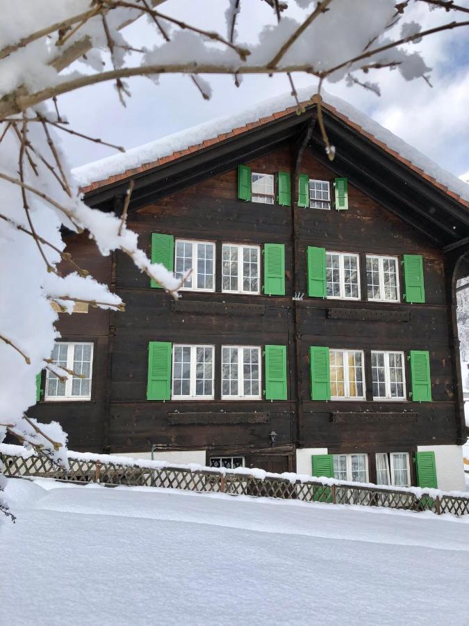 Appartamento Chalet Pironnet With Best Views, Charm And Comfort! Lauterbrunnen Esterno foto